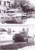 Waffen-Arsenal: Fleischer - Panzerkampfwagen Tiger i. d. Truppe