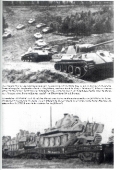 Axel Turra: Waffen-Arsenal Panzerkampfwagen V - Panther