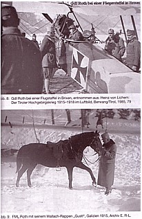 Georg Reichlin-Meldegg: Der Löwe von Limanowa