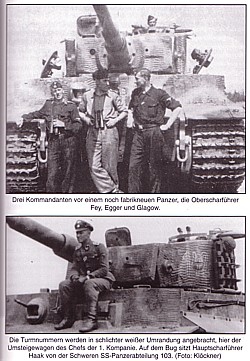 Tiger der Division "Das Reich"