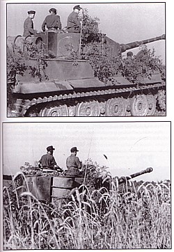 Tiger der Division "Das Reich"