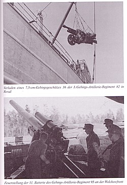 R. Kaltenegger: Gebirgsartillerie auf allen Kriegsschauplätzen