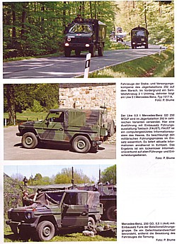 Peter Blume: Jägerbataillon 292 - Geschichte, Gliederung...