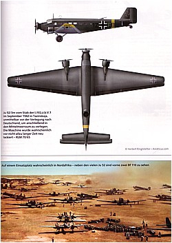 Deutsche Kolbenmotor-Militärflugzeuge 1933-1945: Transporter