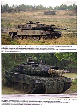 Panzertruppe "2010" - Panzertruppe der Bundeswehr im 21. Jh.