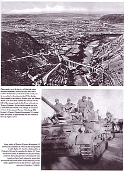 Panzer-Sicherungs-Kompanien and Panzer-Abteilung 208