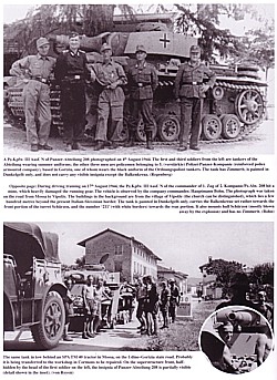 Panzer-Sicherungs-Kompanien and Panzer-Abteilung 208