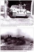 So kmpfte die 654 (Schwere Panzerjger-Abteilung 654)