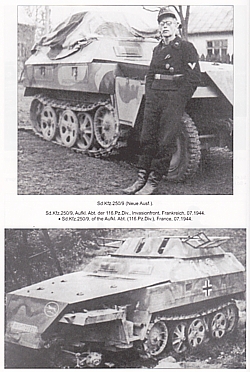 Sd.Kfz. 250 - 251 at War