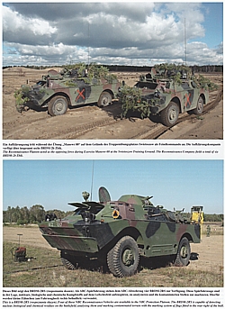 10 BRYGADA KAWALERII PANCERNEJ - Fahrzeuge der modernen ...