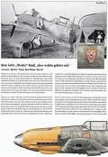 Luftwaffe im Focus, Edition No. 21