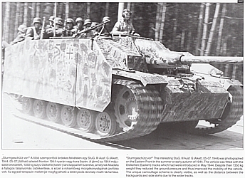 Sturmgeschütz III on the Battlefield 2