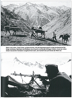 Armee im Schatten - Militärhistorische Studie zur 17. Armee im 2. Weltkrieg