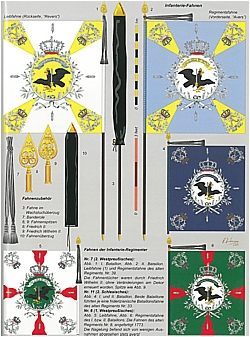 Die Fahnen von Waterloo: Umkämpft - Erobert - Verloren