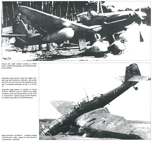 Luftwaffe in Detail