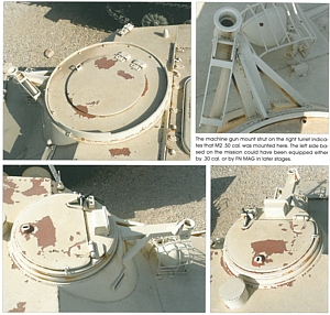 PT-76 Family in Detail