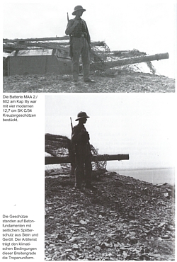 Artillerie an der Küste