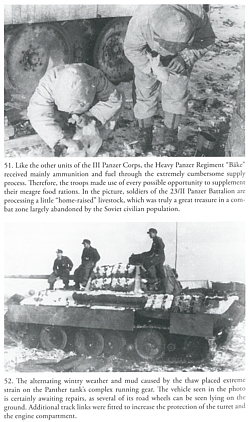 Predators - History of the Schwere Panzer-Regiment "Bake"