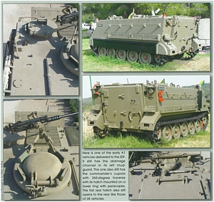 Early M 113 in Detail