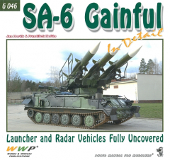 SA-6 Gainful in Detail